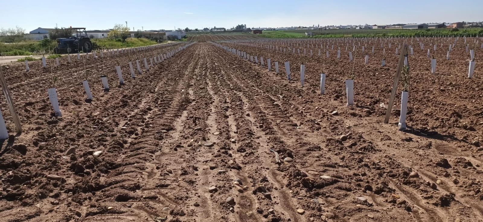 Grunde uden byggetilladelser til salg i Fuentes de Andalucia - € 1.270.000 (Ref: 9829349)
