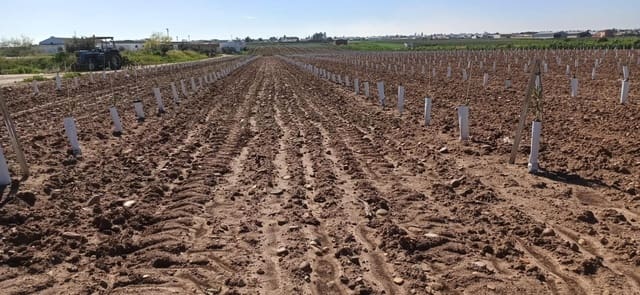 Grunde uden byggetilladelser til salg i Fuentes de Andalucía - € 1.270.000 (Ref: 9829349)