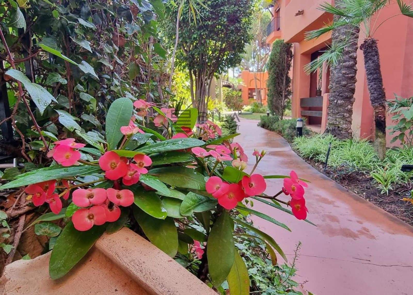 3 Zimmer Wohnung zu verkaufen in Elviria mit Pool - 659.000 € (Ref: 9895652)