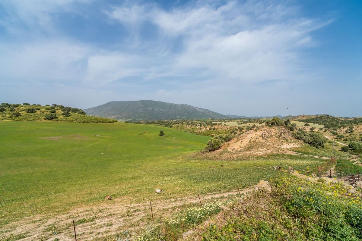 Terreno Não Urbanizado para venda em Olvera - 3 100 000 € (Ref: 10121055)