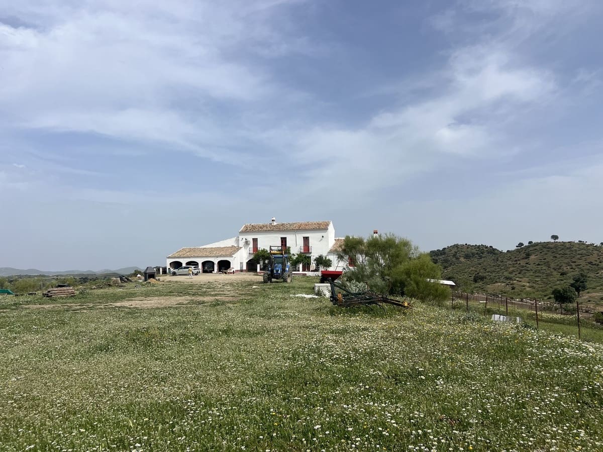 Terreno Não Urbanizado para venda em Olvera - 3 100 000 € (Ref: 10121055)