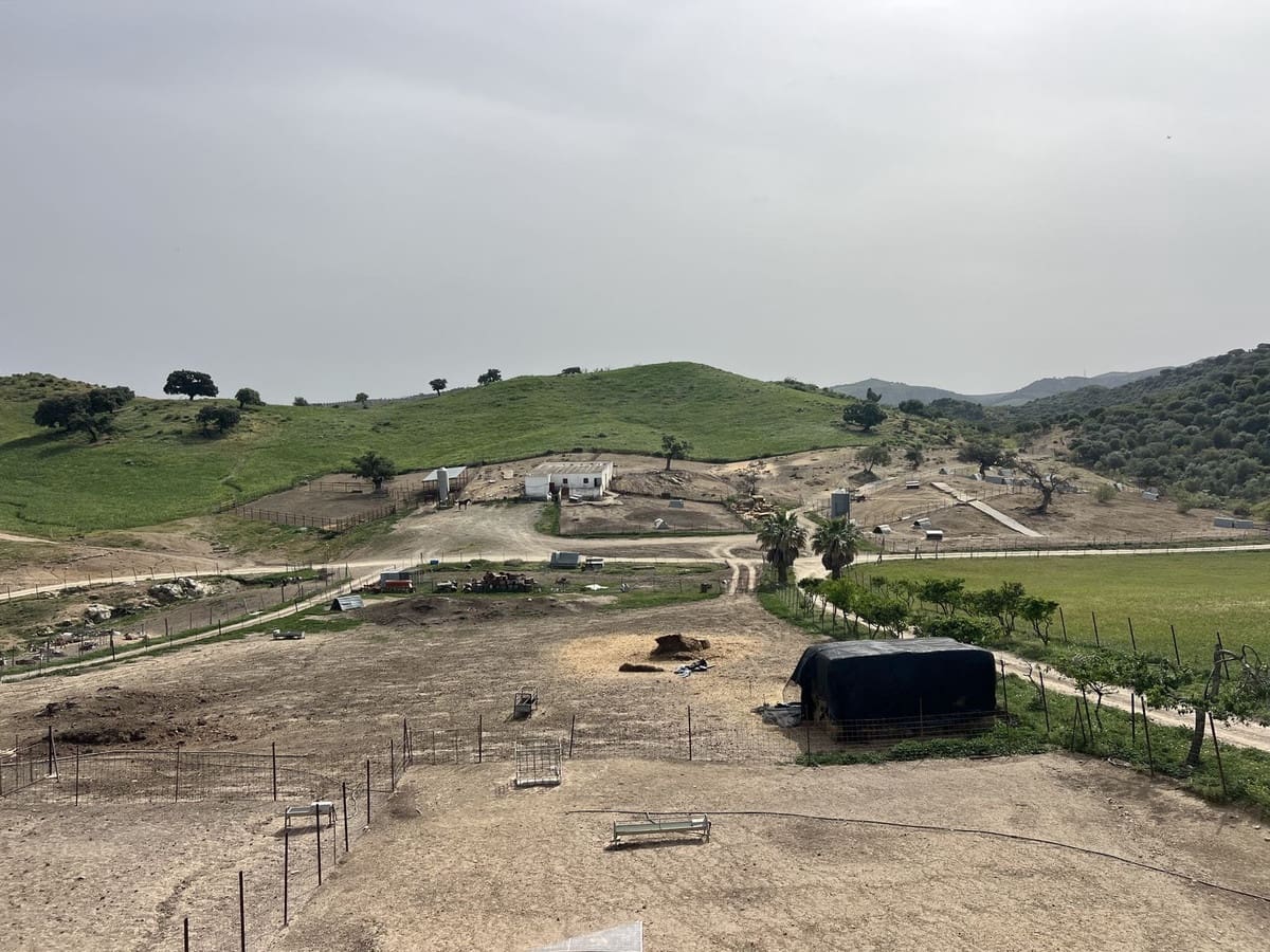 Terreno Não Urbanizado para venda em Olvera - 3 100 000 € (Ref: 10121055)
