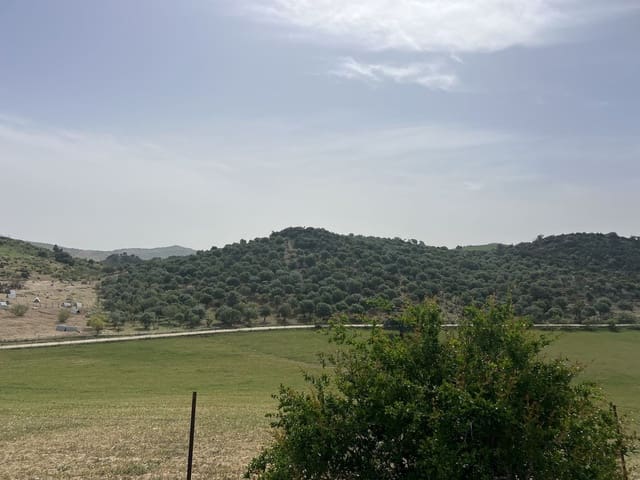 Terreno Não Urbanizado para venda em Olvera - 3 100 000 € (Ref: 10121055)