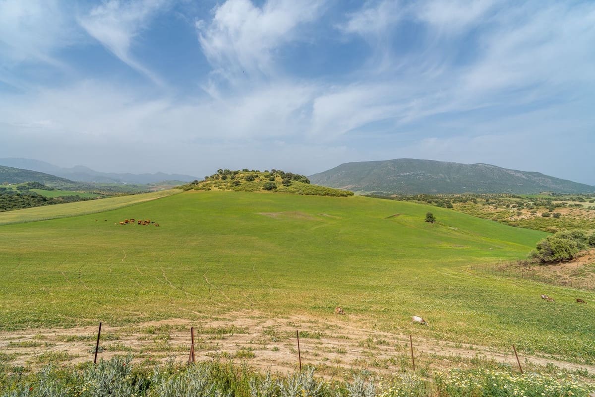 Terreno Não Urbanizado para venda em Olvera - 3 100 000 € (Ref: 10121055)