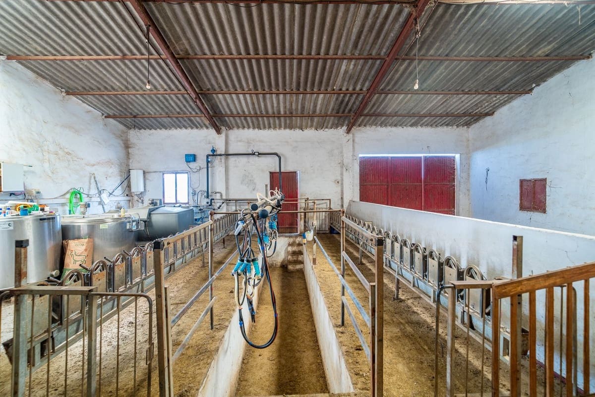 Terreno Não Urbanizado para venda em Olvera - 3 100 000 € (Ref: 10121055)