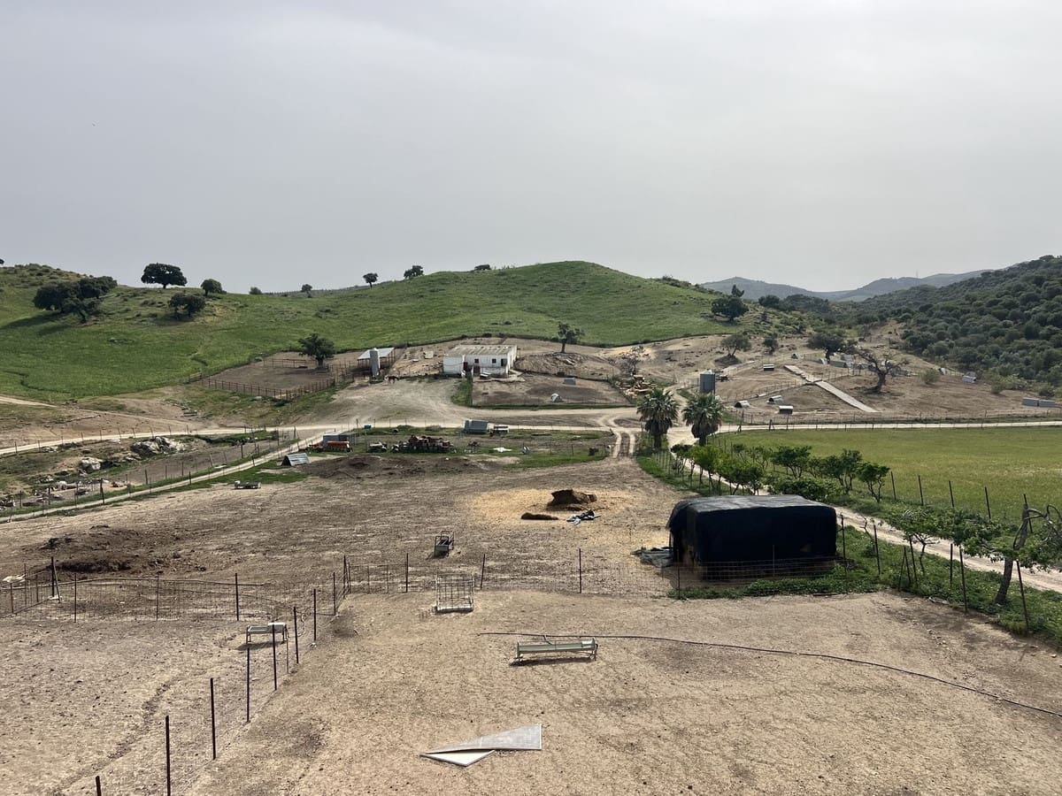 Terreno Não Urbanizado para venda em Olvera - 3 100 000 € (Ref: 10121055)