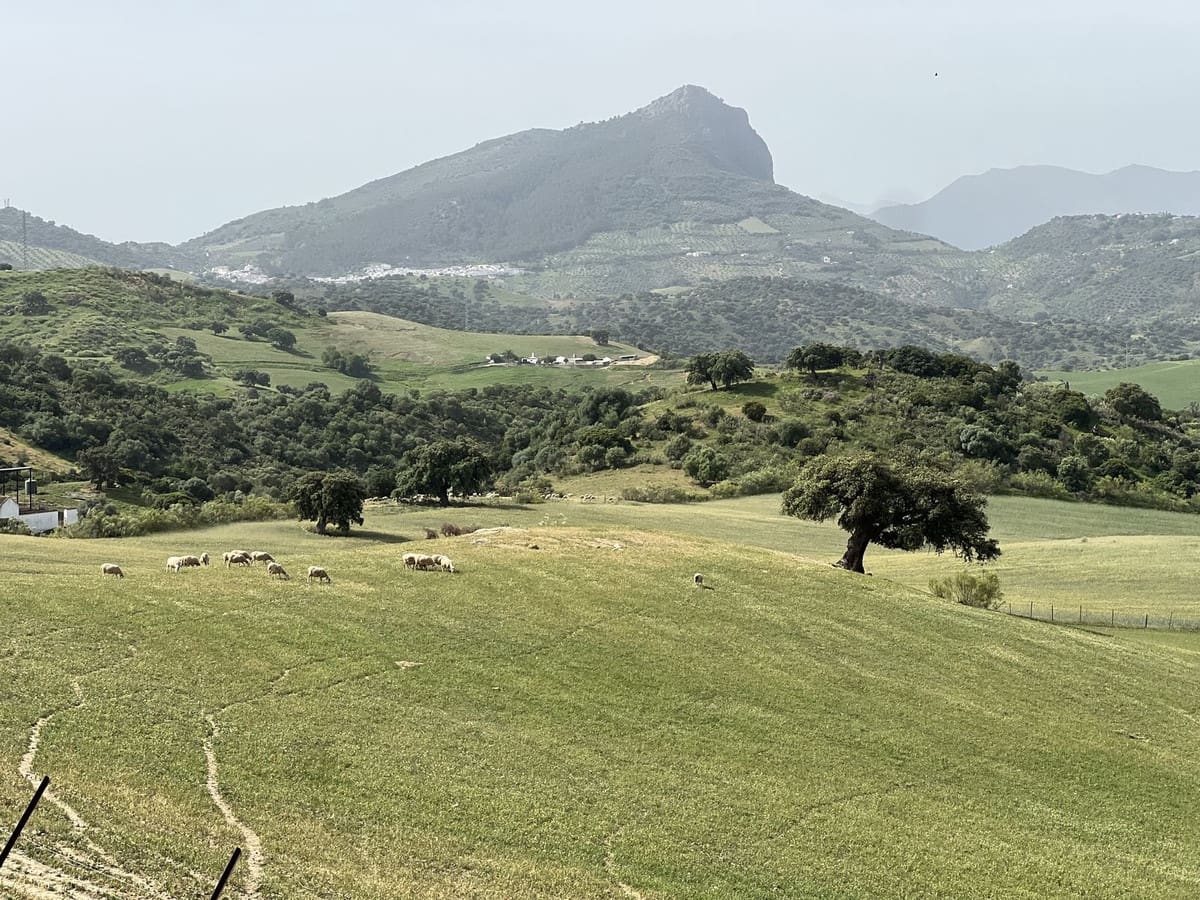 Terreno Não Urbanizado para venda em Olvera - 3 100 000 € (Ref: 10121055)