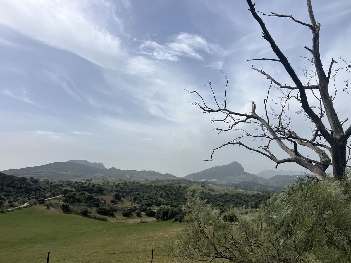Terreno Não Urbanizado para venda em Olvera - 3 100 000 € (Ref: 10121055)