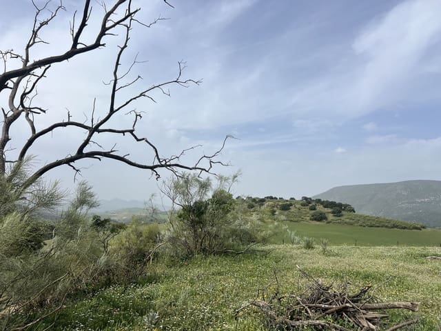 Terreno Não Urbanizado para venda em Olvera - 3 100 000 € (Ref: 10121055)