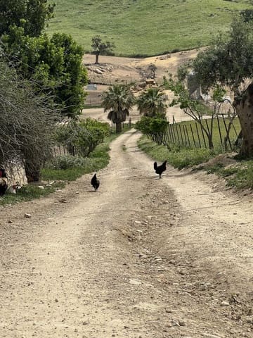 Terreno Não Urbanizado para venda em Olvera - 3 100 000 € (Ref: 10121055)