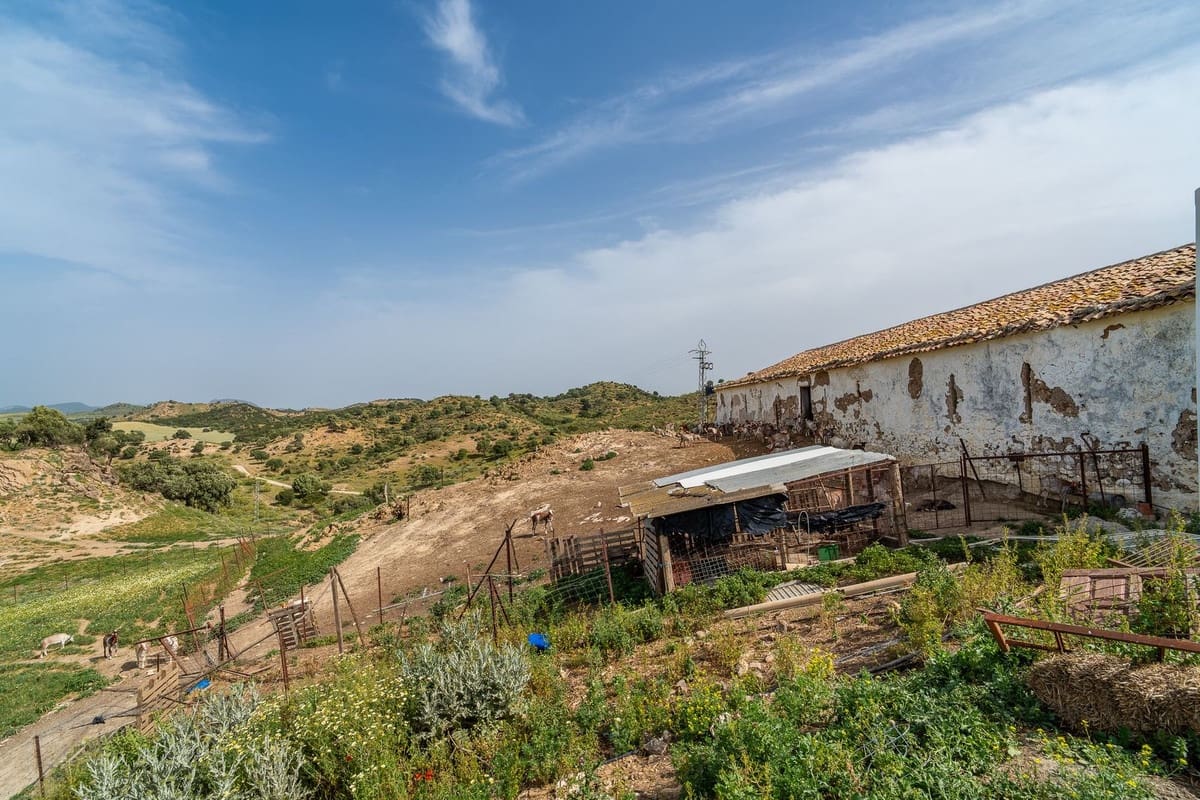 Terreno Não Urbanizado para venda em Olvera - 3 100 000 € (Ref: 10121055)