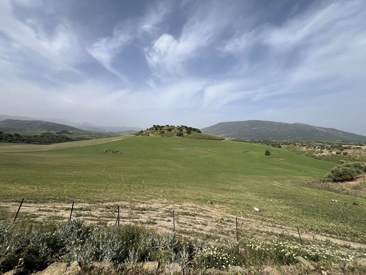 Terreno Não Urbanizado para venda em Olvera - 3 100 000 € (Ref: 10121055)