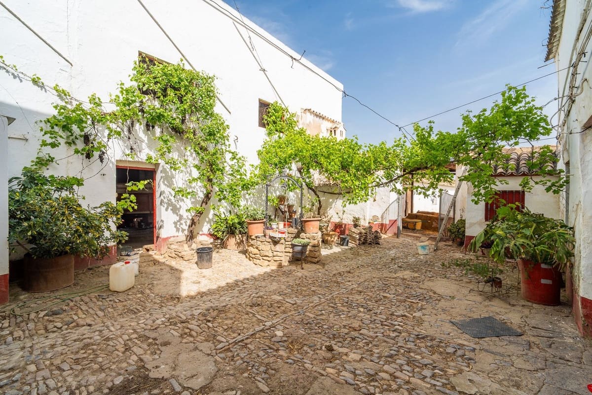 Terreno Não Urbanizado para venda em Olvera - 3 100 000 € (Ref: 10121055)