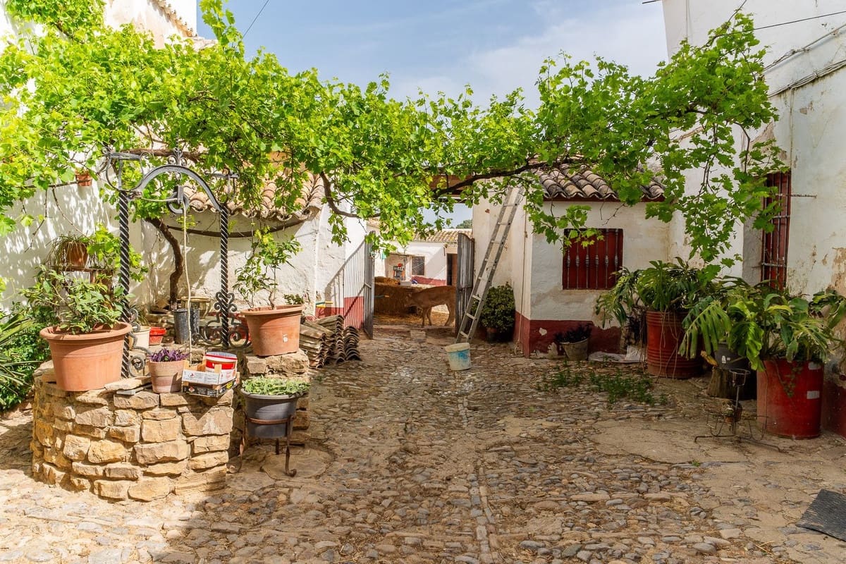 Terreno Não Urbanizado para venda em Olvera - 3 100 000 € (Ref: 10121055)