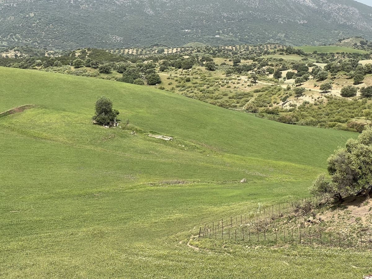 Terreno Não Urbanizado para venda em Olvera - 3 100 000 € (Ref: 10121055)