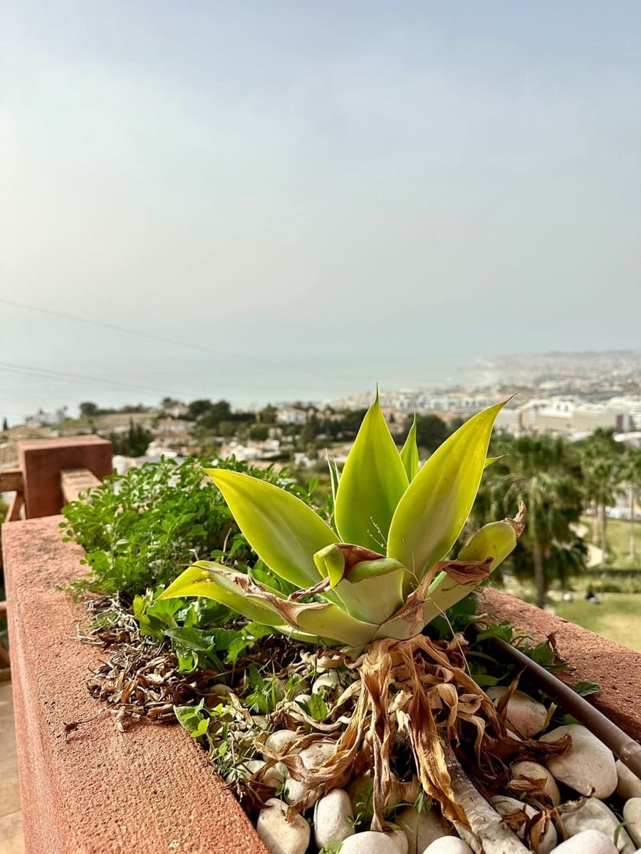 3 soveværelse Lejlighed til salg i Benalmadena med swimmingpool garage - € 600.000 (Ref: 9096664)