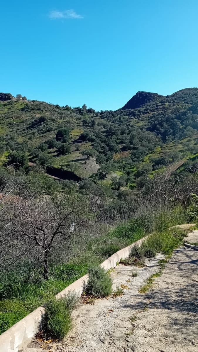 4 camera da letto Finca/Casa di Campagna in vendita in Cartama - 160.000 € (Rif: 9096680)