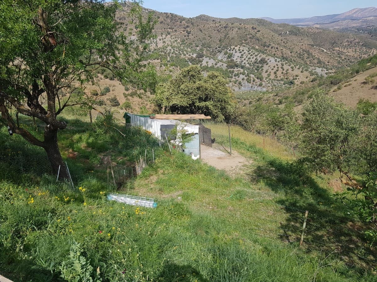 Teren niezagospodarowany na sprzedaż w Ardales - 85 000 € (Ref: 9237762)