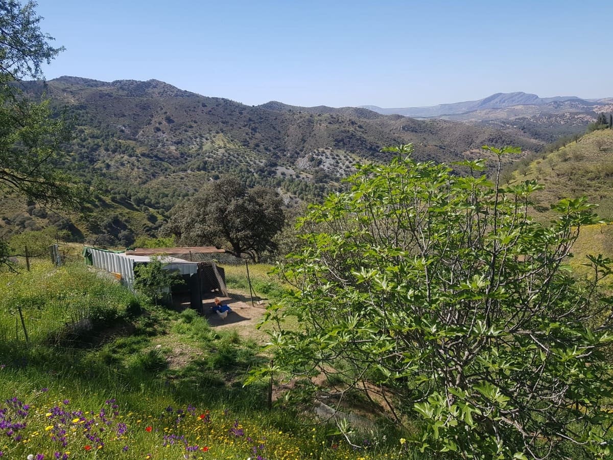 Teren niezagospodarowany na sprzedaż w Ardales - 85 000 € (Ref: 9237762)