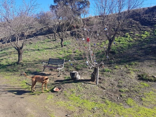 Mark till salu i Ardales - 85 000 € (Ref: 9237762)