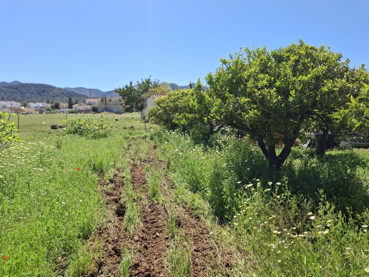 Terreno Não Urbanizado para venda em Alhaurin de la Torre - 218 150 € (Ref: 9465932)