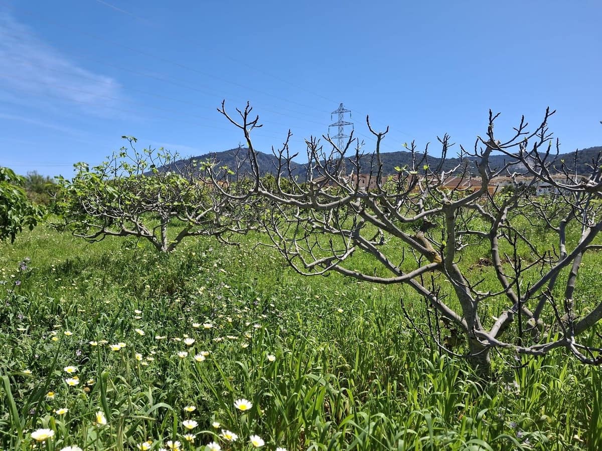 Terreno Não Urbanizado para venda em Alhaurin de la Torre - 218 150 € (Ref: 9465932)