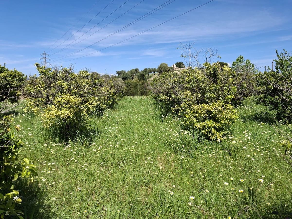 Terreno Não Urbanizado para venda em Alhaurin de la Torre - 218 150 € (Ref: 9465932)