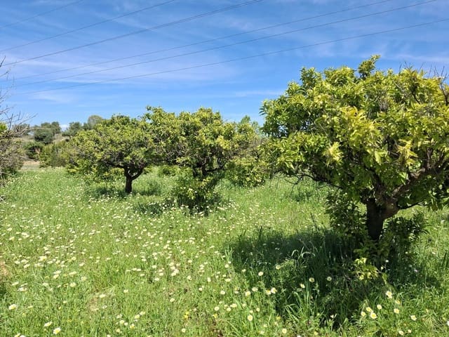 Terreno Não Urbanizado para venda em Alhaurín de la Torre - 218 150 € (Ref: 9465932)