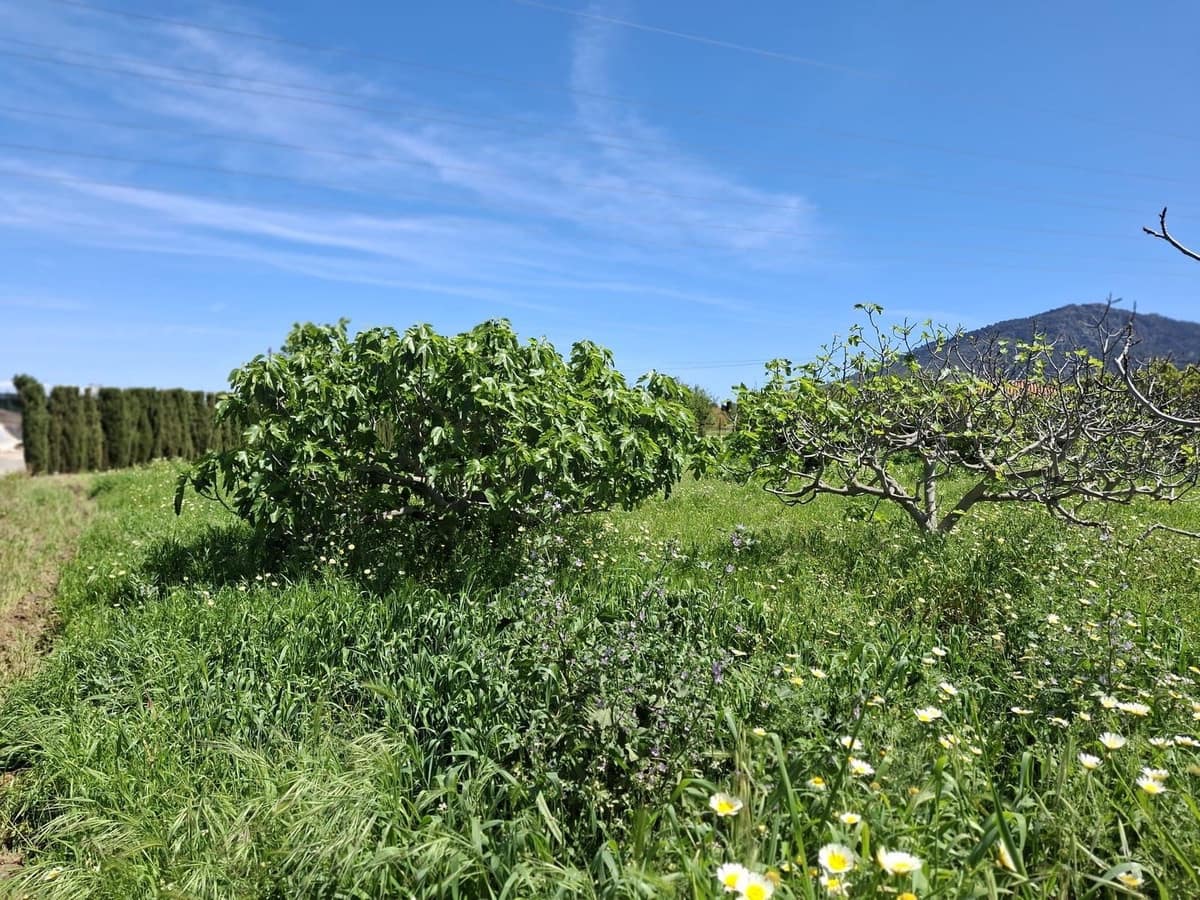 Terreno Não Urbanizado para venda em Alhaurin de la Torre - 218 150 € (Ref: 9465932)