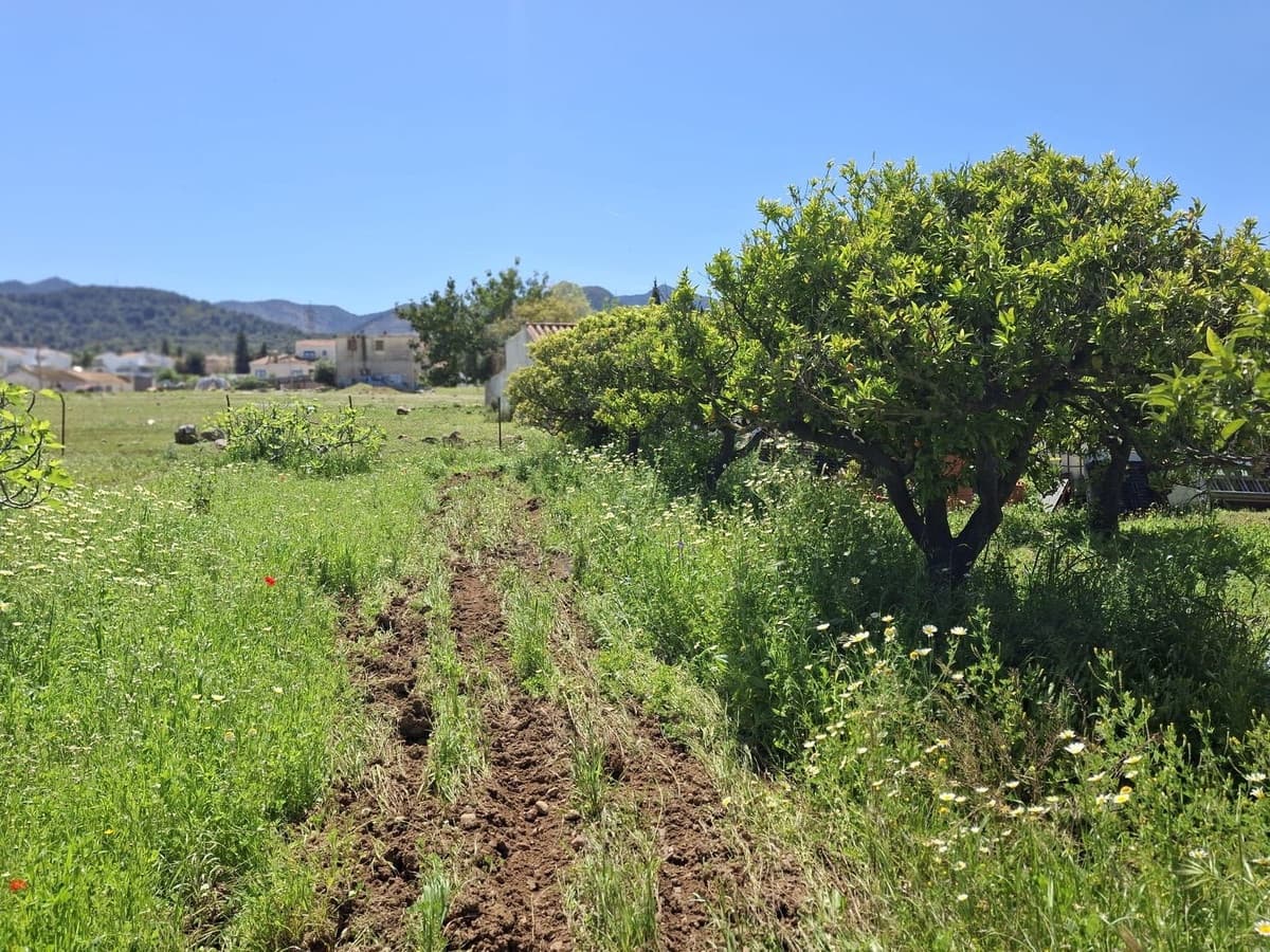 Mark till salu i Alhaurin de la Torre - 218 150 € (Ref: 9465932)