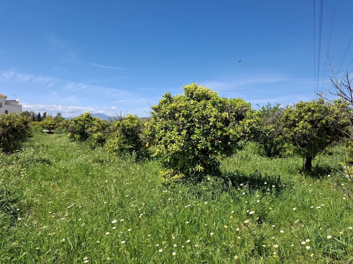 Mark till salu i Alhaurin de la Torre - 218 150 € (Ref: 9465932)