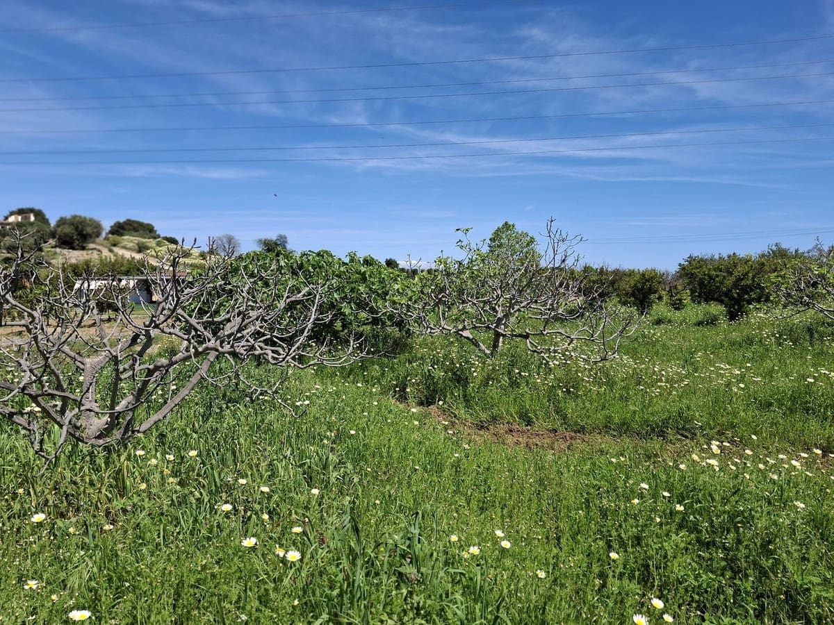 Mark till salu i Alhaurin de la Torre - 218 150 € (Ref: 9465932)