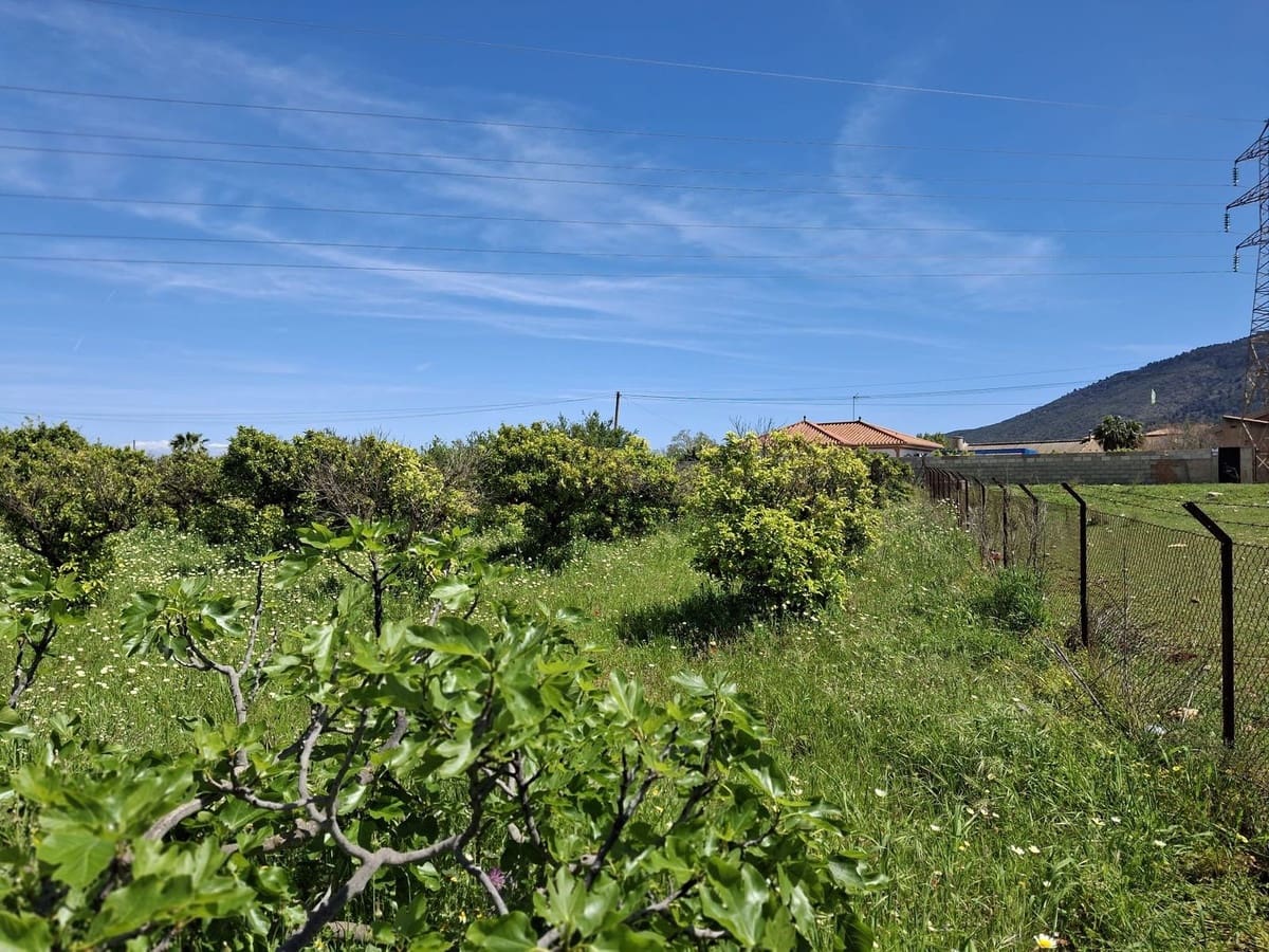 Mark till salu i Alhaurin de la Torre - 218 150 € (Ref: 9465932)