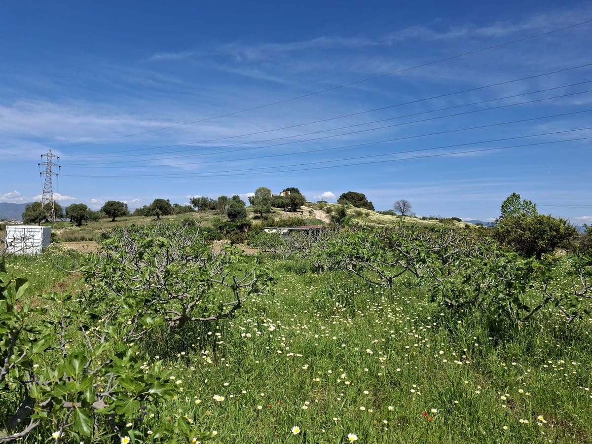Mark till salu i Alhaurin de la Torre - 218 150 € (Ref: 9465932)