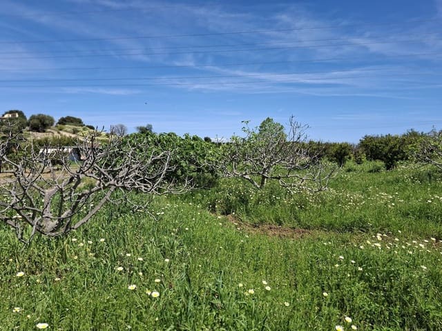 Mark till salu i Alhaurín de la Torre - 218 150 € (Ref: 9465932)