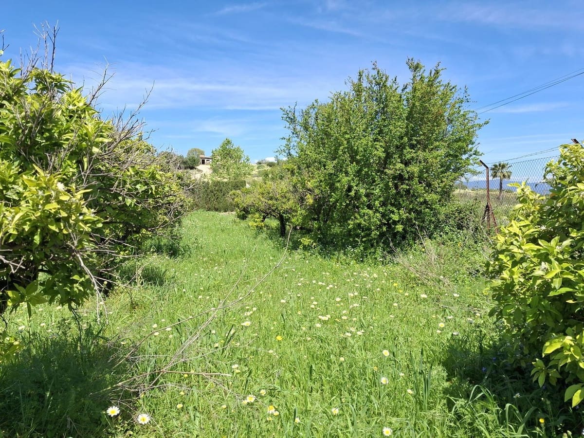 Mark till salu i Alhaurin de la Torre - 218 150 € (Ref: 9465932)