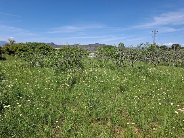 Mark till salu i Alhaurín de la Torre - 218 150 € (Ref: 9465932)