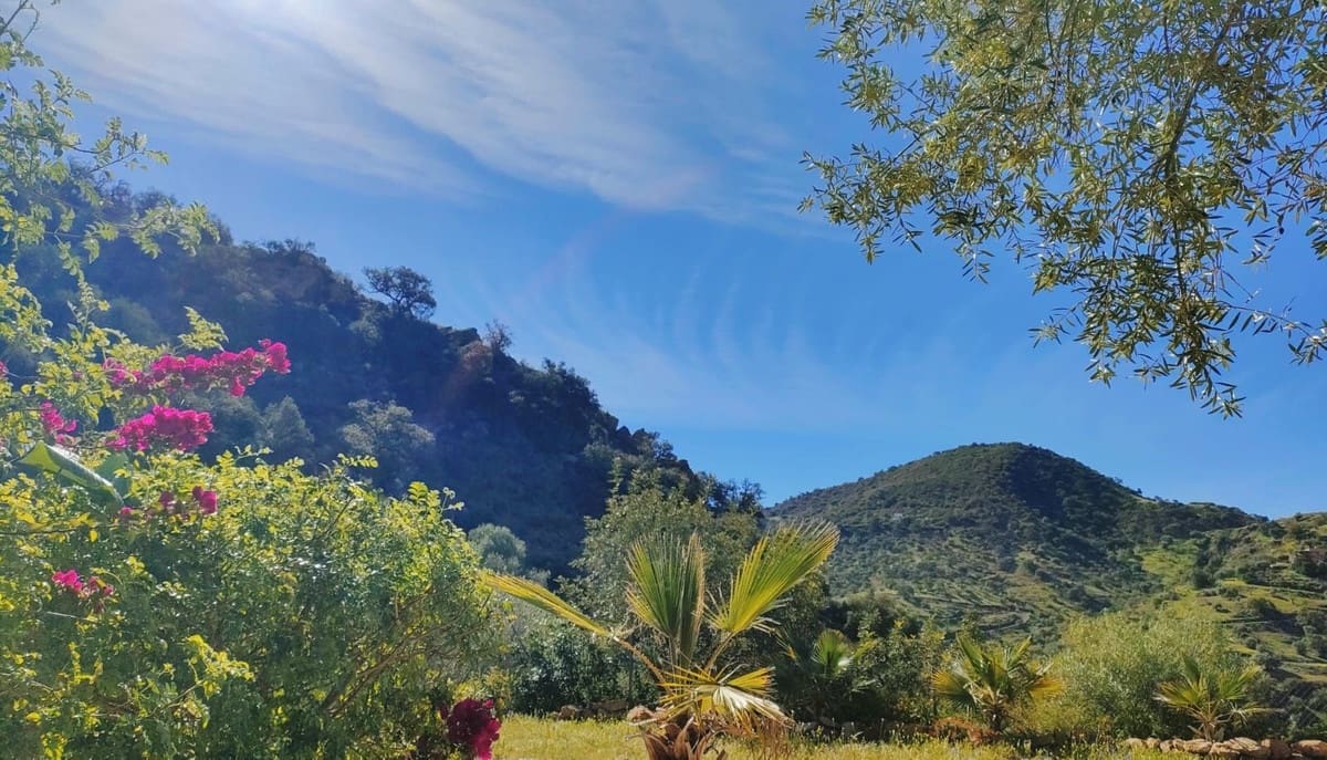 Finca/Casa Rural de 4 habitaciones en Puerto de la Torre en venta - 620.000 € (Ref: 9634997)