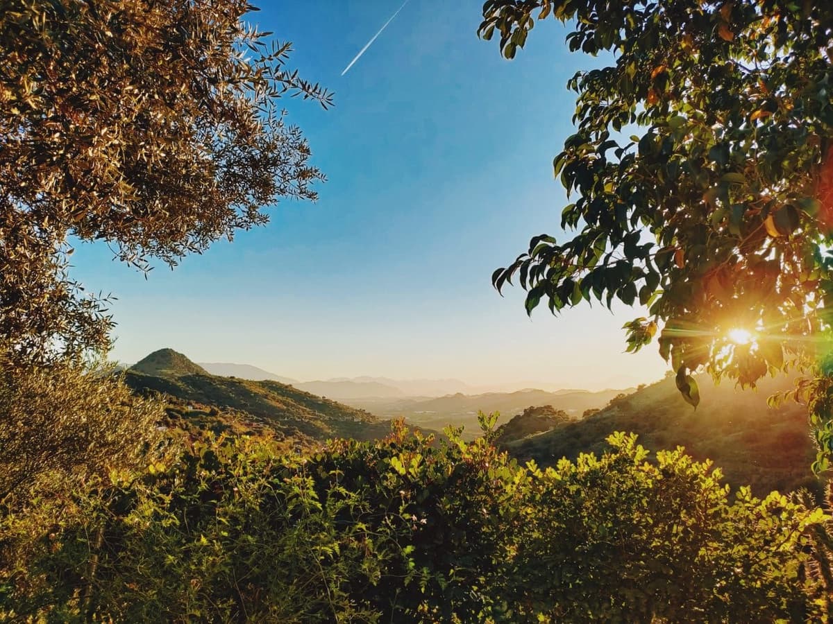 Finca/Casa Rural de 4 habitaciones en Puerto de la Torre en venta - 620.000 € (Ref: 9634997)