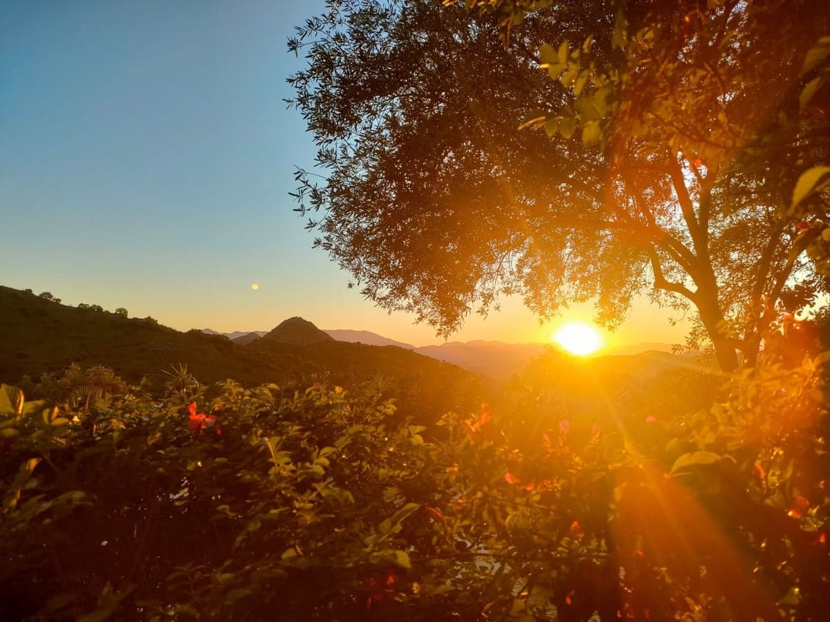 4 makuuhuone Maalaistalo myytävänä paikassa Puerto de la Torre - 620 000 € (Ref: 9634997)