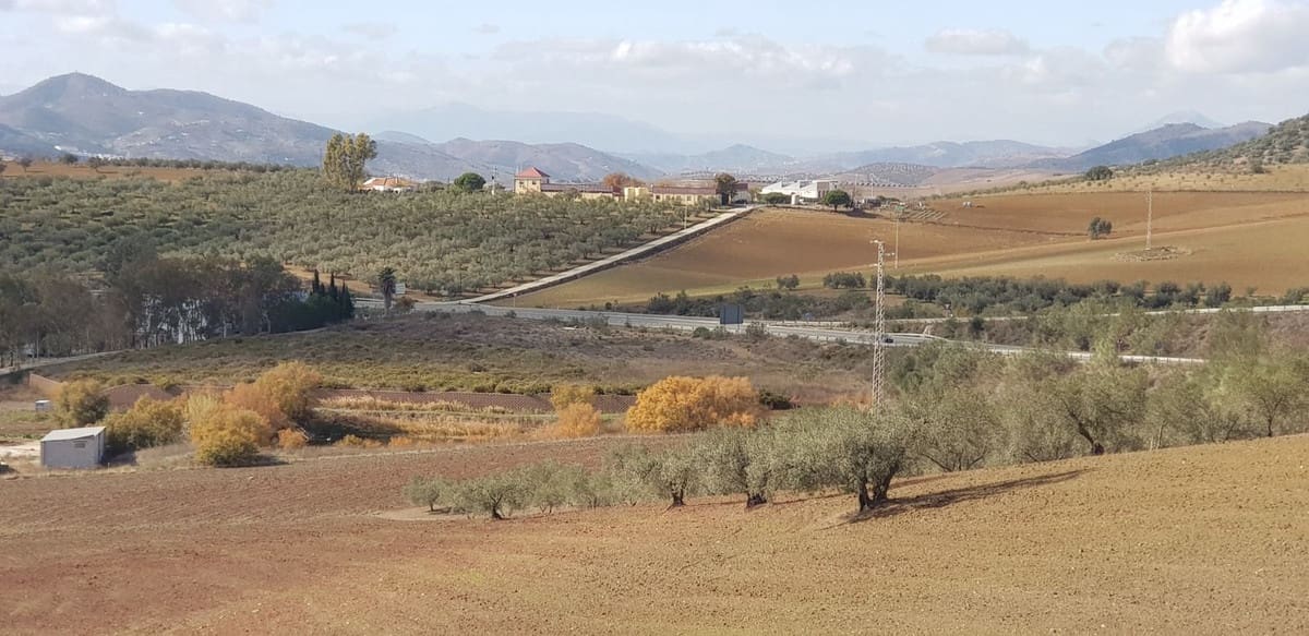 Terre non Aménagée à vendre à Colmenar - 375 000 € (Ref: 9649838)