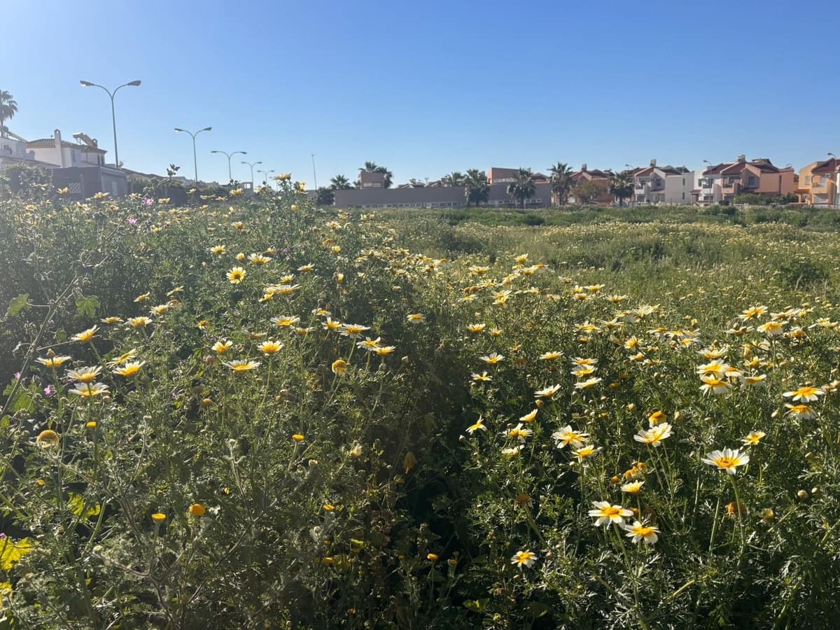 Tomt till salu i Velez-Malaga - 650 000 € (Ref: 9764881)