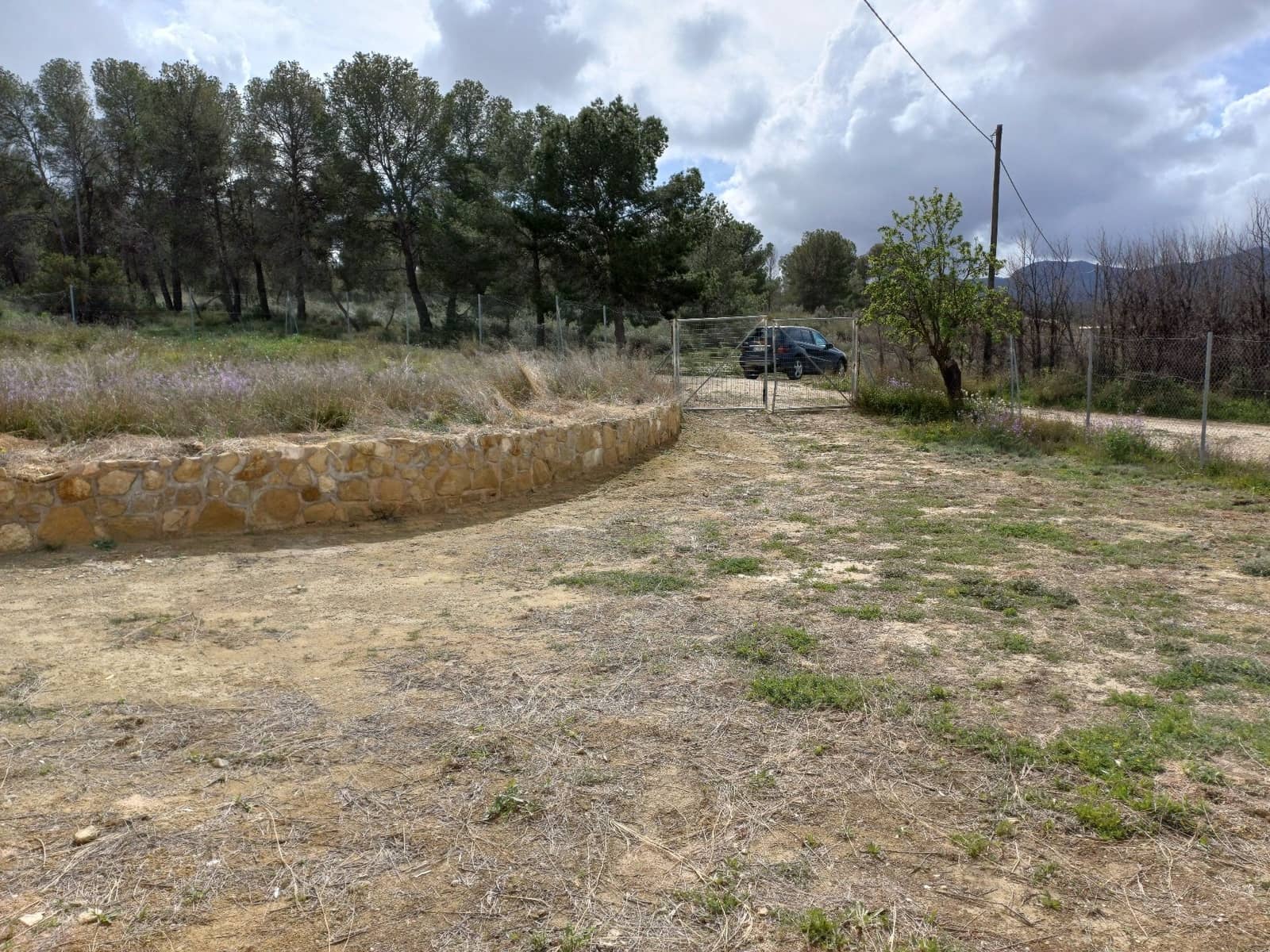 3 sypialnia Willa na sprzedaż w Jumilla - 87 000 € (Ref: 8691079)