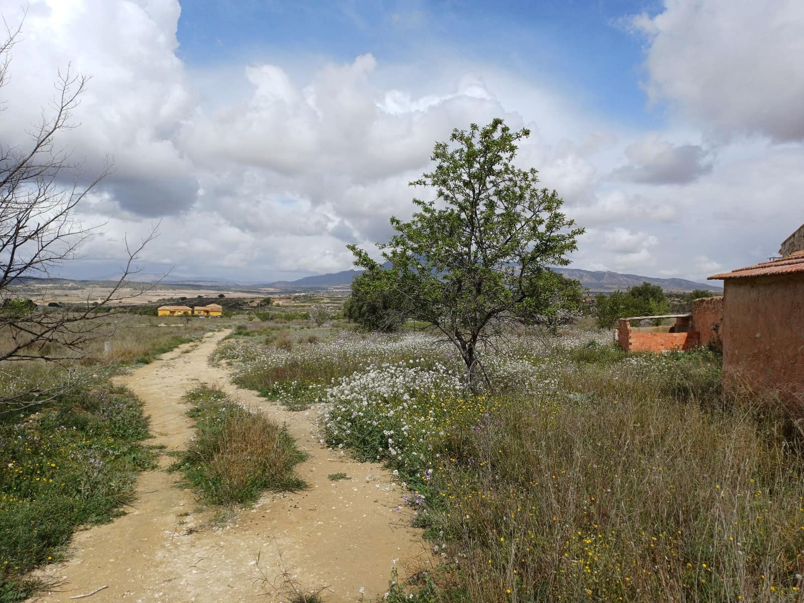 3 sypialnia Willa na sprzedaż w Jumilla - 87 000 € (Ref: 8691079)