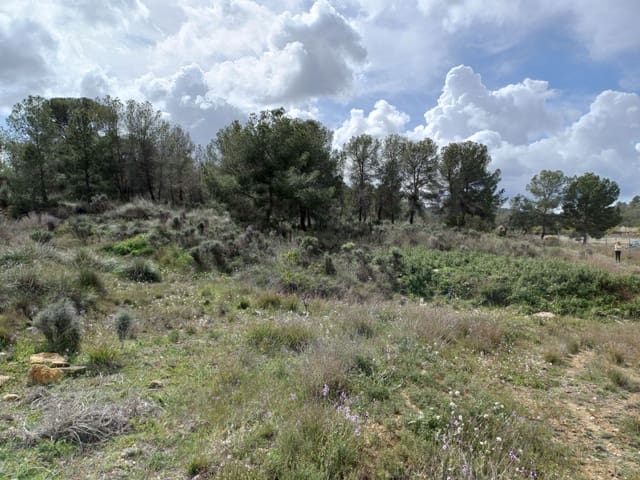 3 chambre Villa/Maison à vendre à Jumilla - 87 000 € (Ref: 8691079)