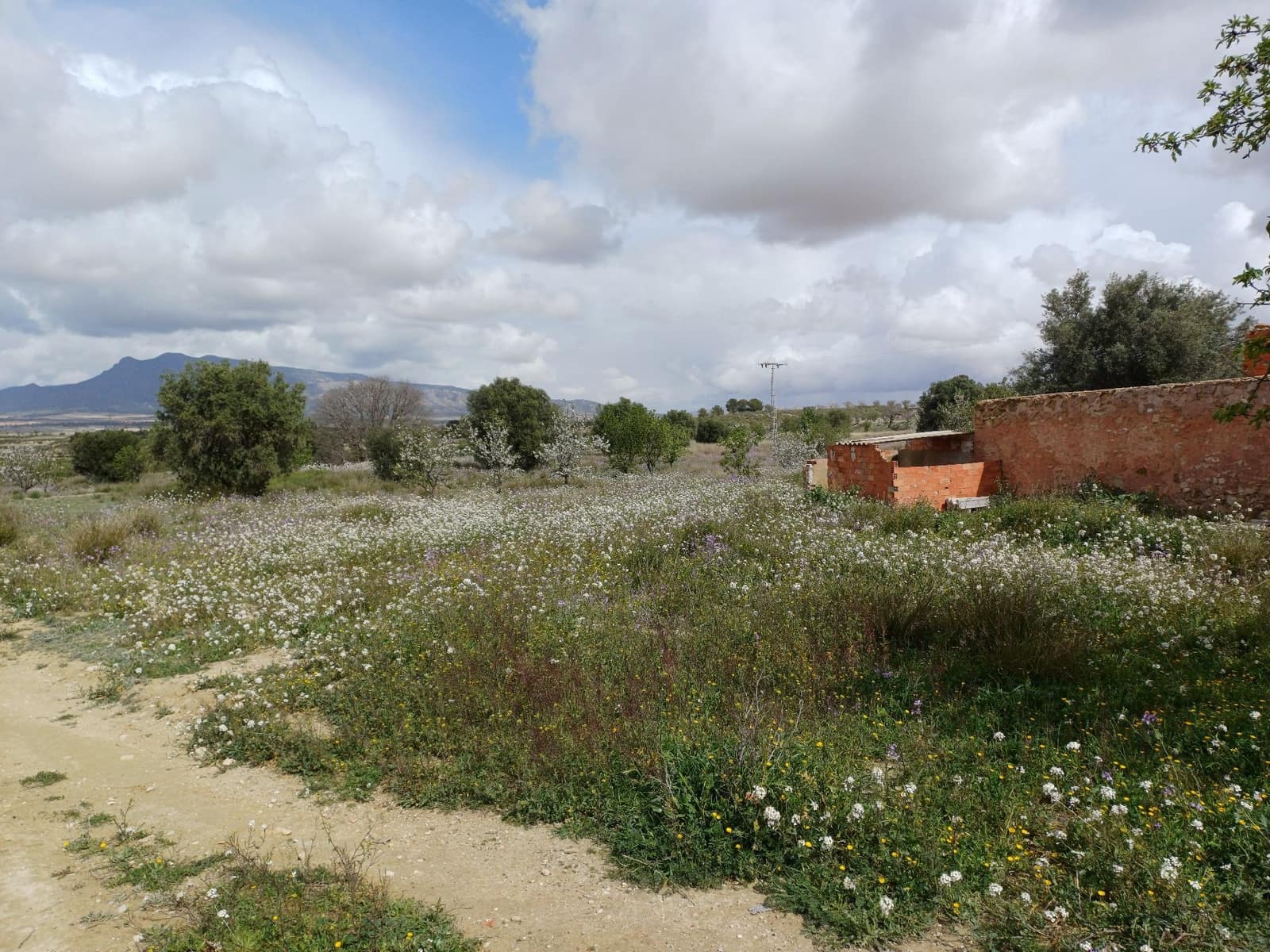 3 sypialnia Willa na sprzedaż w Jumilla - 87 000 € (Ref: 8691079)