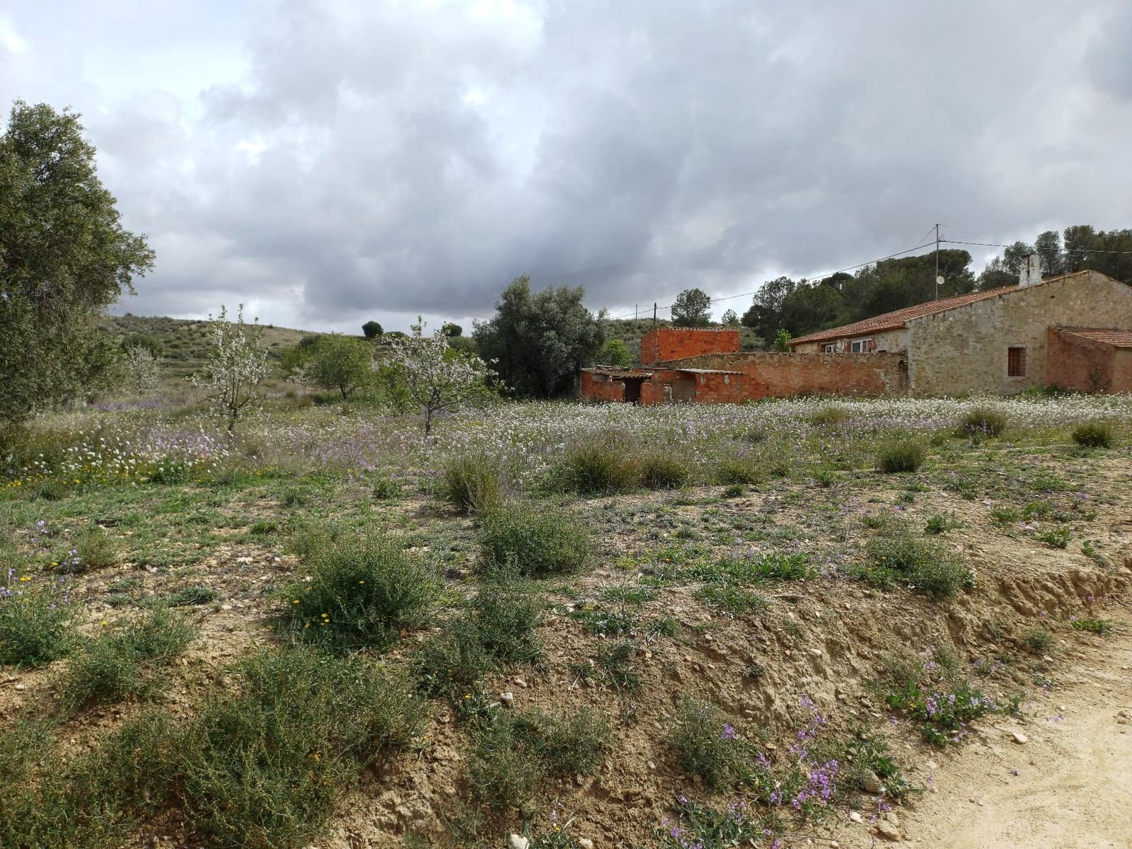 3 sypialnia Willa na sprzedaż w Jumilla - 87 000 € (Ref: 8691079)