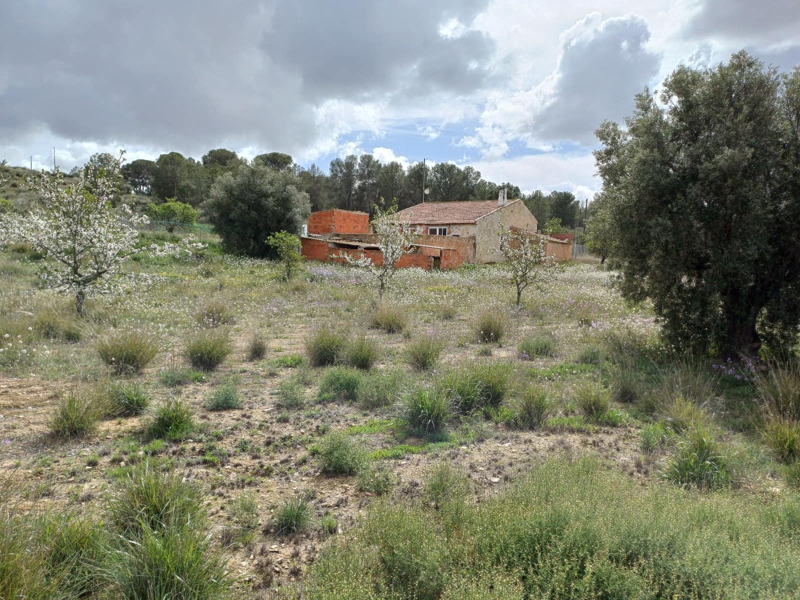 3 sypialnia Willa na sprzedaż w Jumilla - 87 000 € (Ref: 8691079)