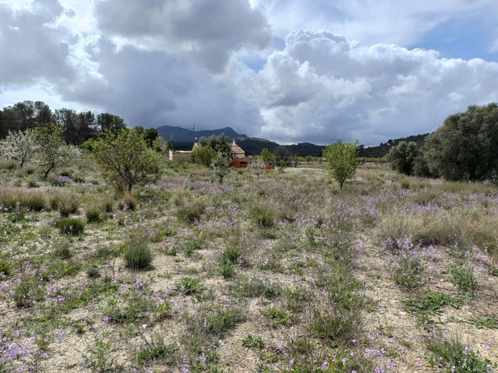 3 sypialnia Willa na sprzedaż w Jumilla - 87 000 € (Ref: 8691079)