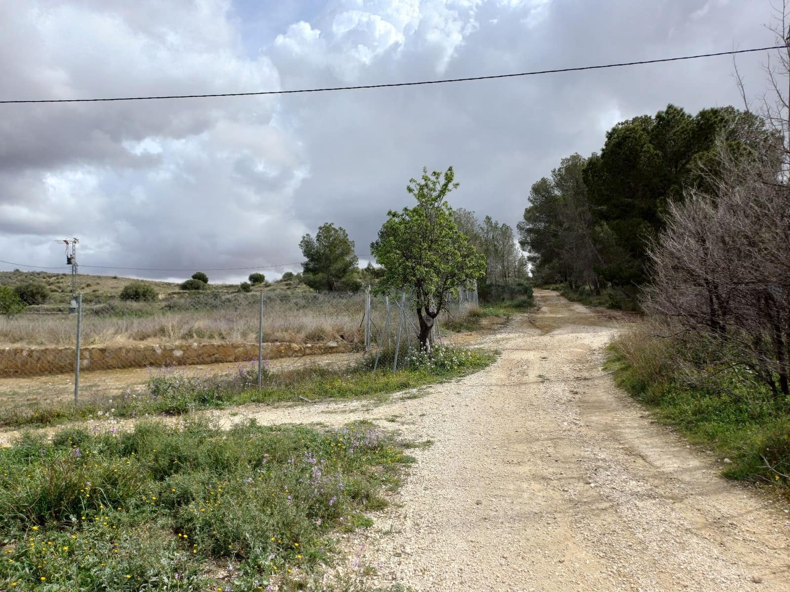 3 sypialnia Willa na sprzedaż w Jumilla - 87 000 € (Ref: 8691079)